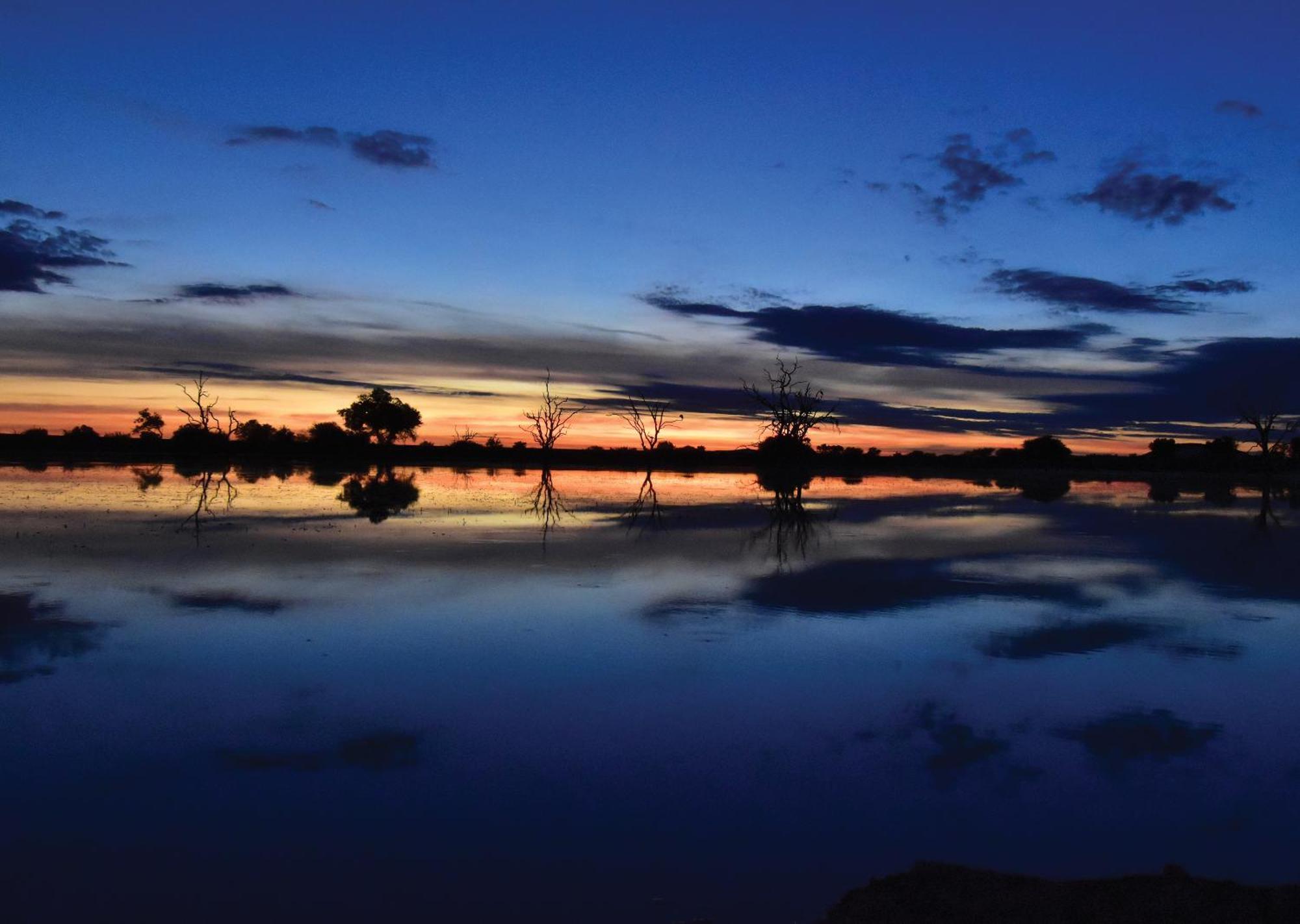 Madikwe River Lodge By Dream Resorts Madikwe Game Reserve Extérieur photo
