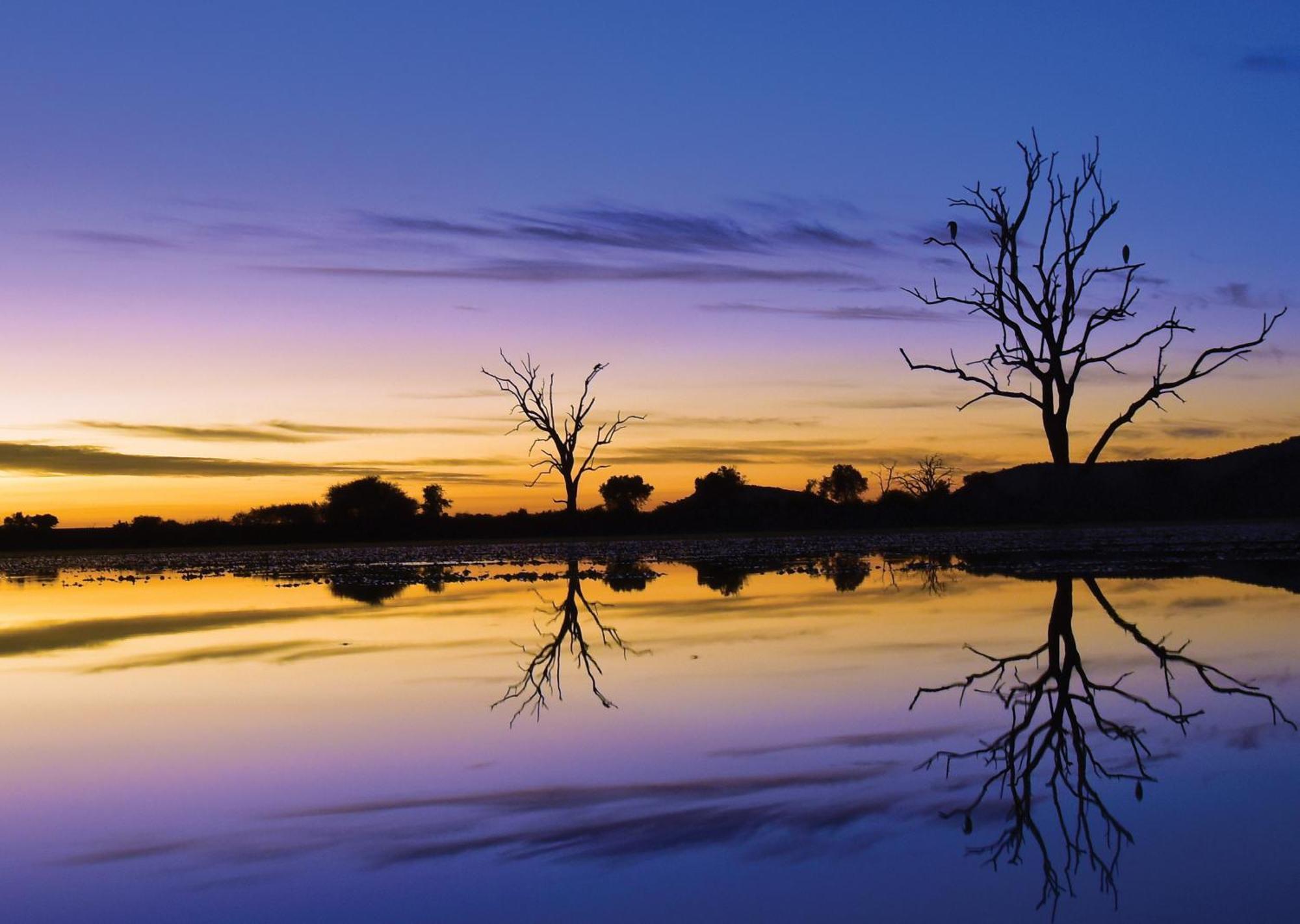 Madikwe River Lodge By Dream Resorts Madikwe Game Reserve Extérieur photo