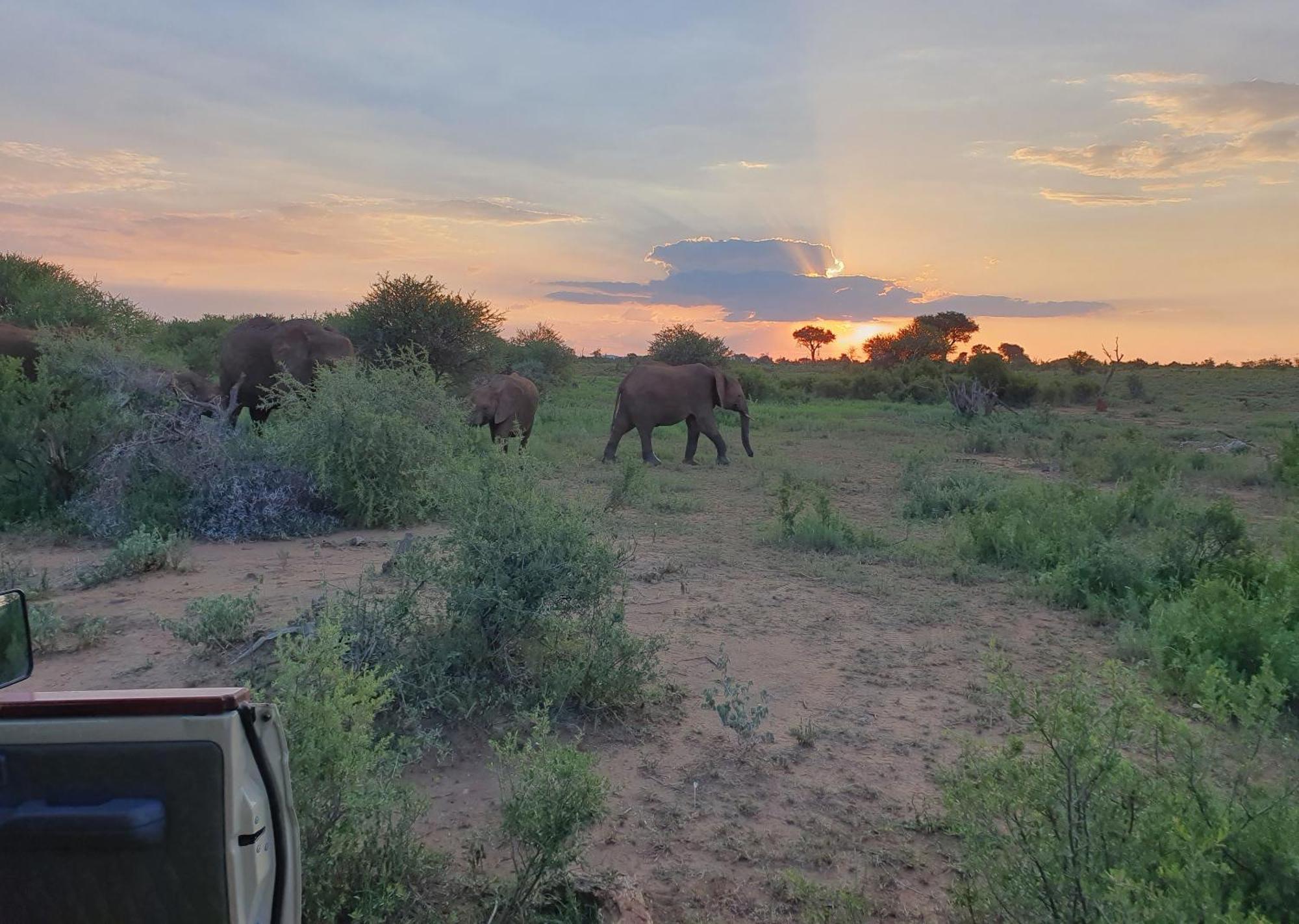 Madikwe River Lodge By Dream Resorts Madikwe Game Reserve Extérieur photo