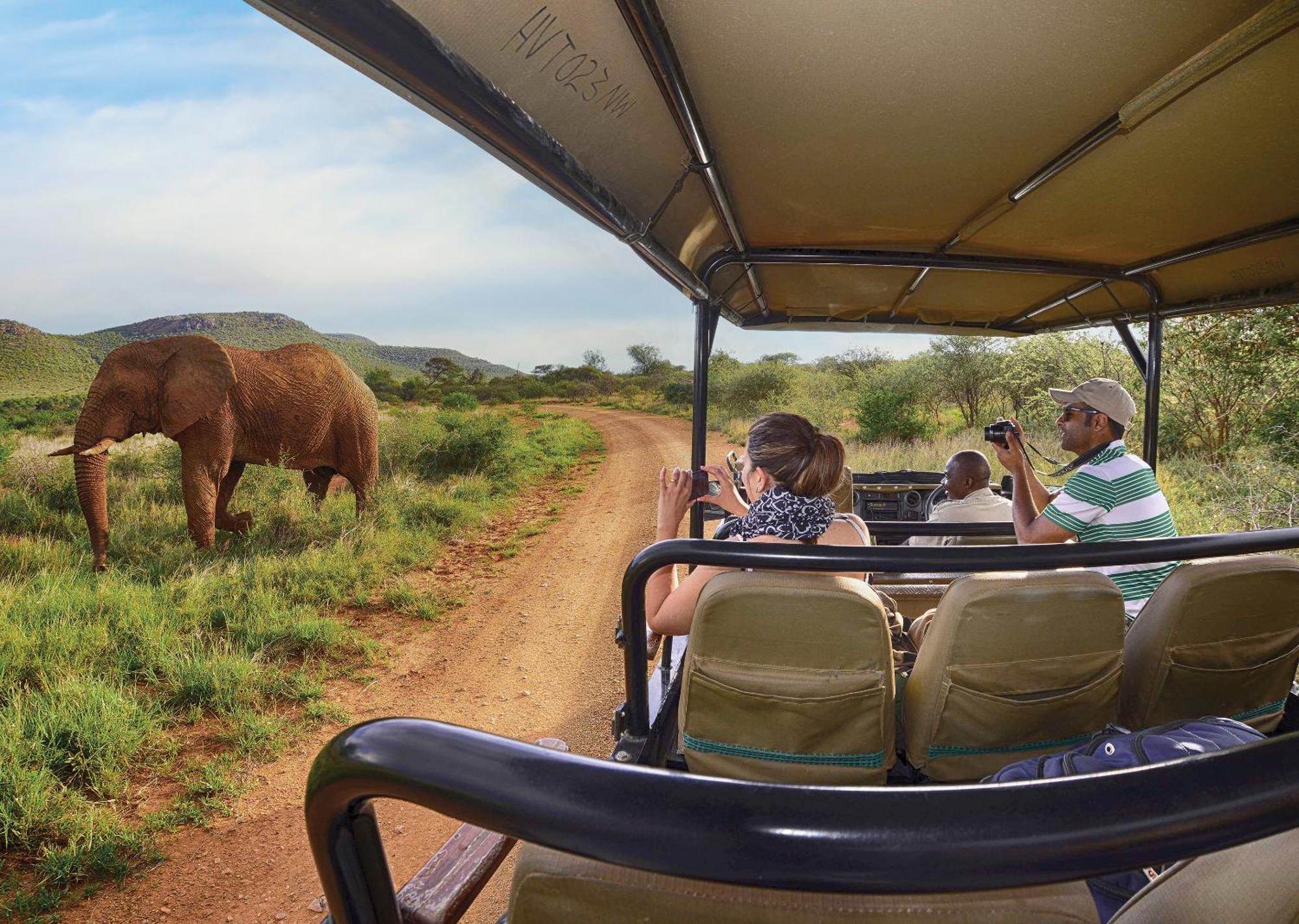 Madikwe River Lodge By Dream Resorts Madikwe Game Reserve Extérieur photo