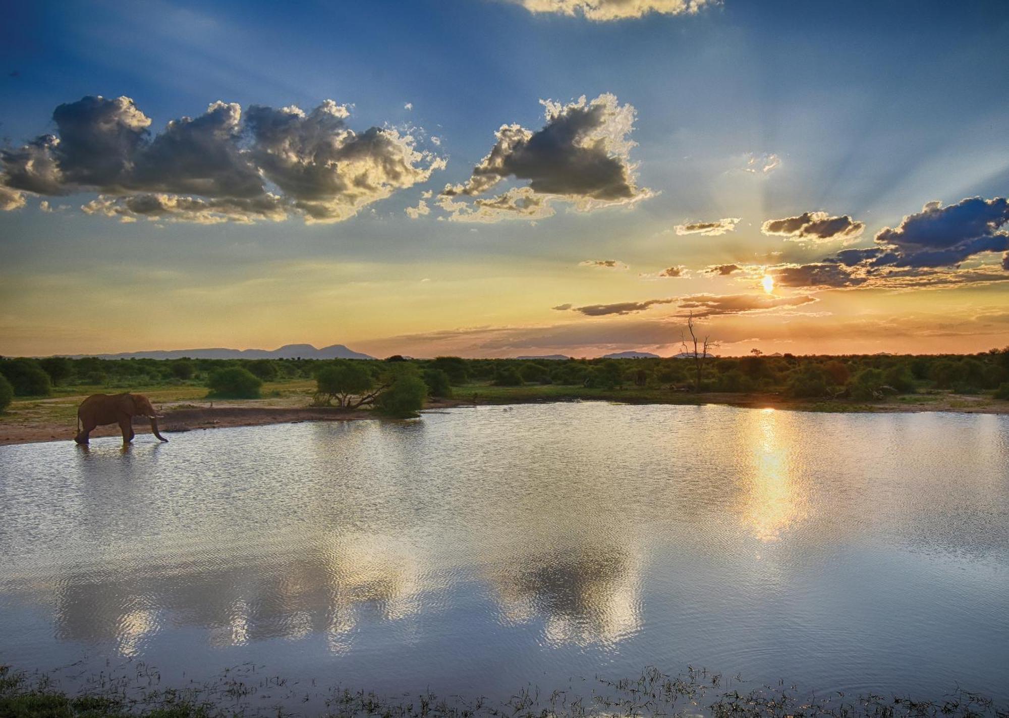 Madikwe River Lodge By Dream Resorts Madikwe Game Reserve Extérieur photo