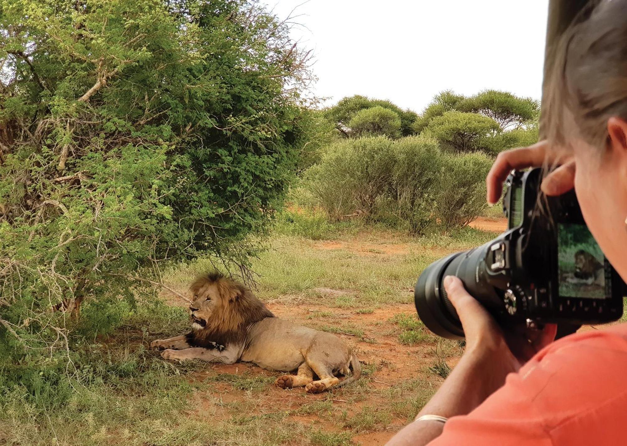 Madikwe River Lodge By Dream Resorts Madikwe Game Reserve Extérieur photo