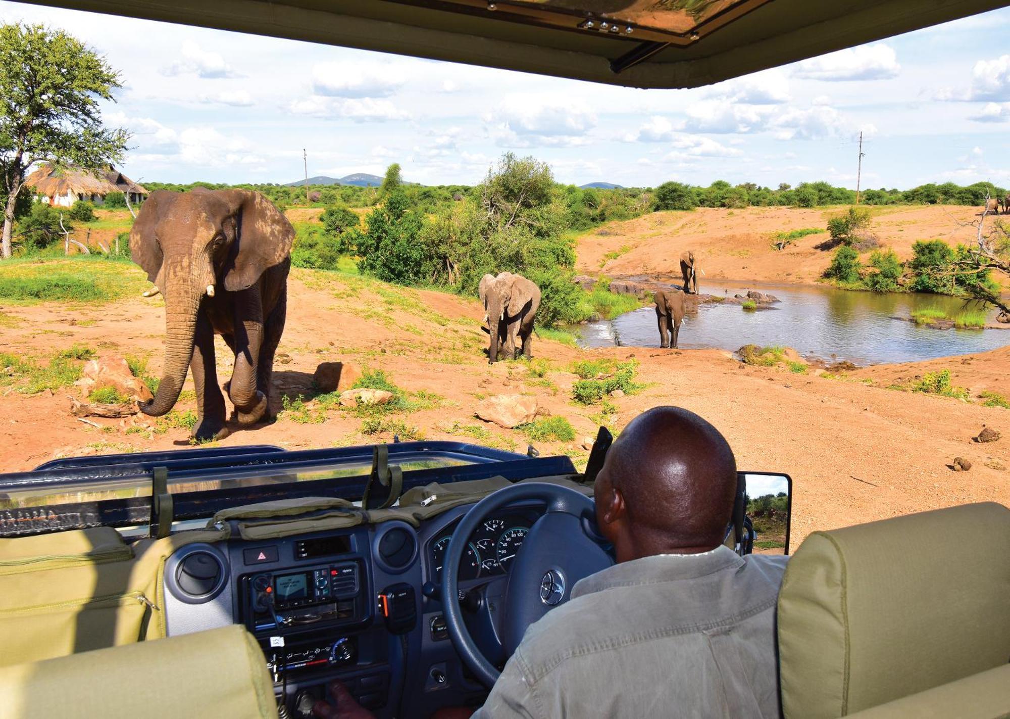 Madikwe River Lodge By Dream Resorts Madikwe Game Reserve Extérieur photo