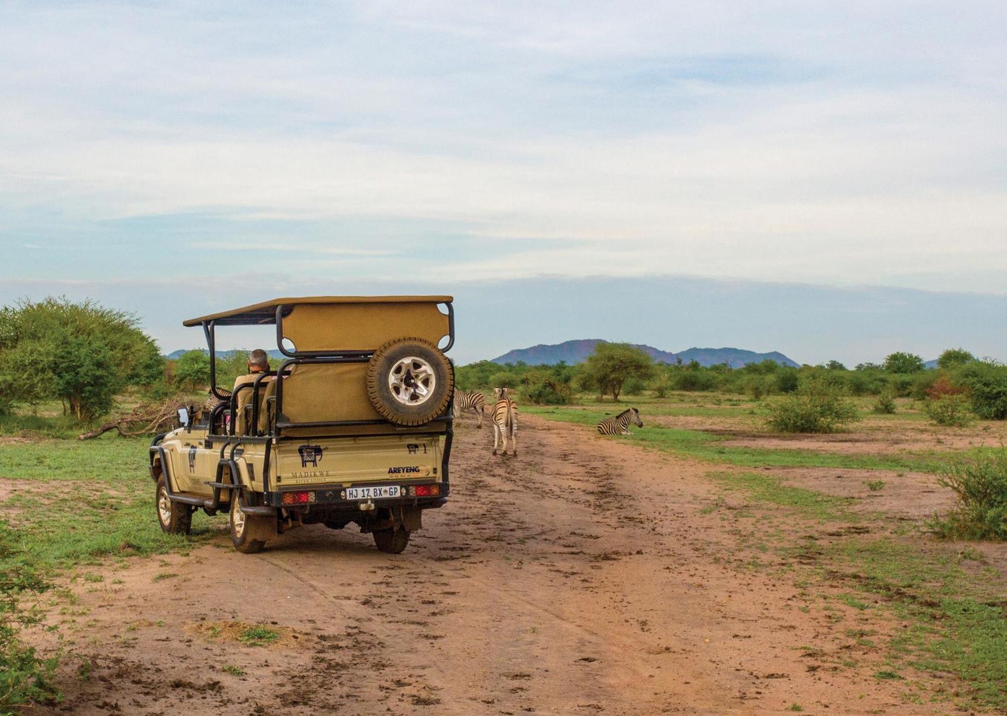 Madikwe River Lodge By Dream Resorts Madikwe Game Reserve Extérieur photo