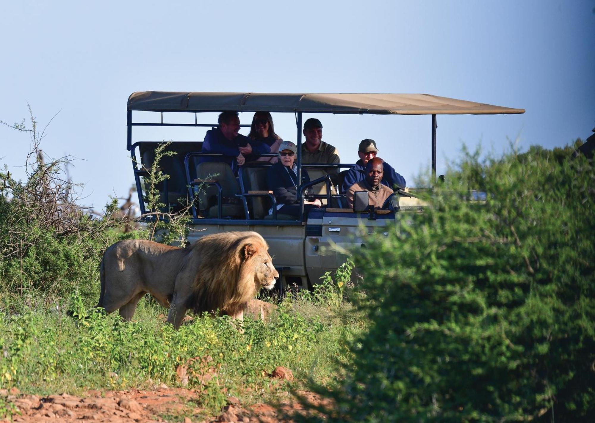 Madikwe River Lodge By Dream Resorts Madikwe Game Reserve Extérieur photo