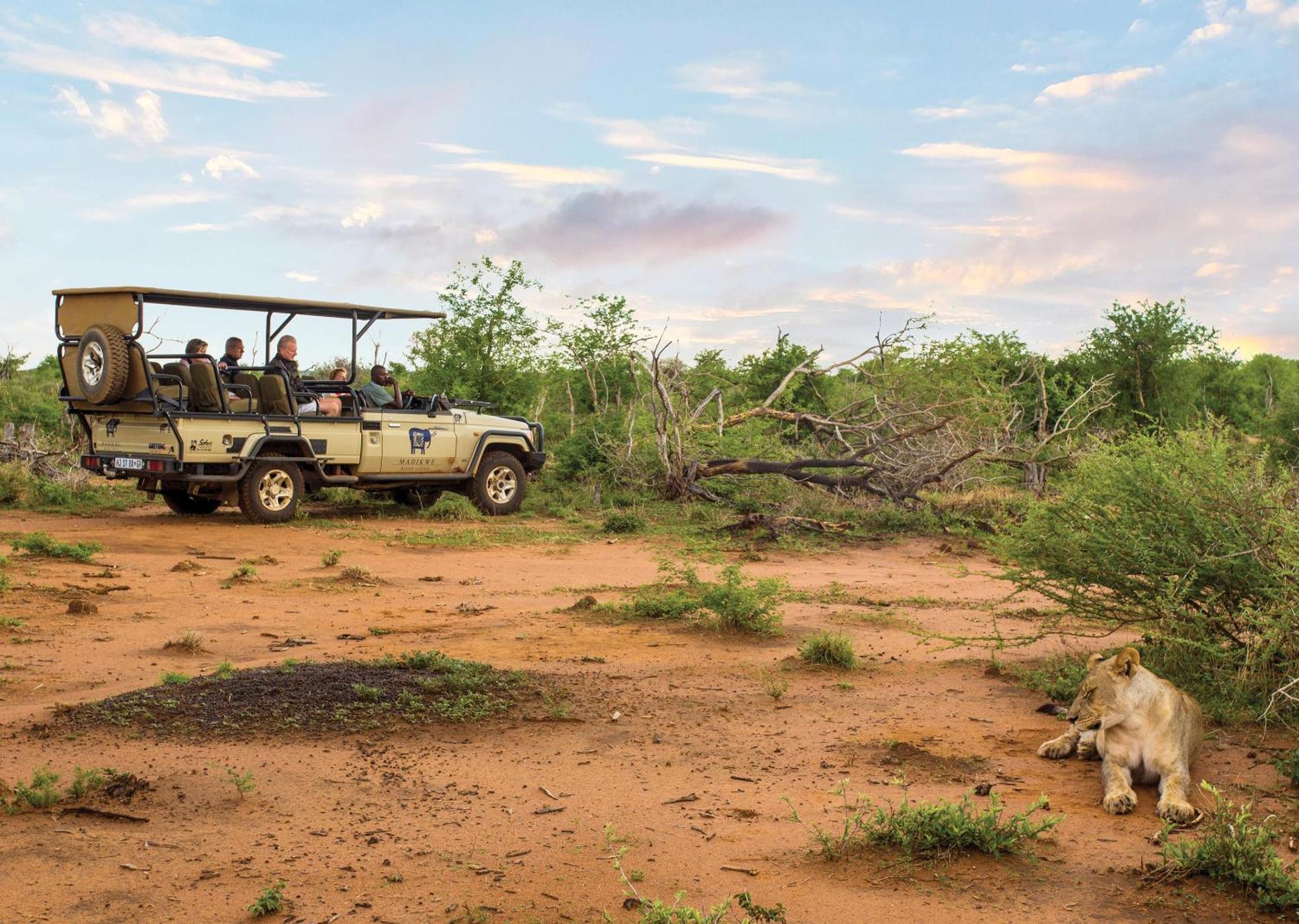 Madikwe River Lodge By Dream Resorts Madikwe Game Reserve Extérieur photo