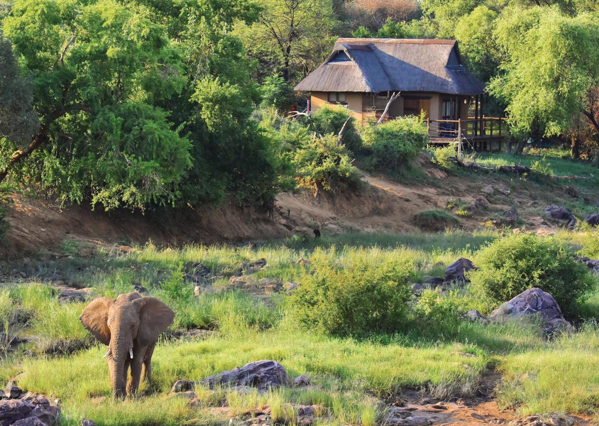 Madikwe River Lodge By Dream Resorts Madikwe Game Reserve Chambre photo