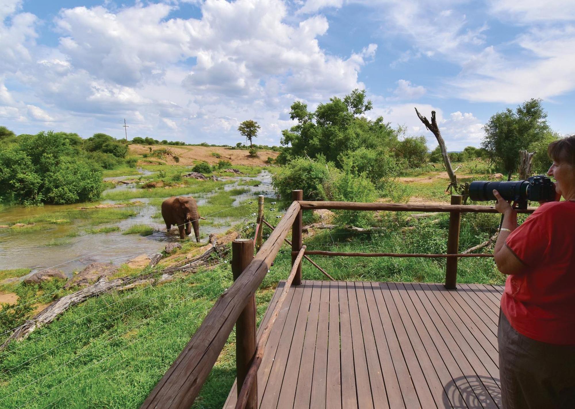 Madikwe River Lodge By Dream Resorts Madikwe Game Reserve Chambre photo