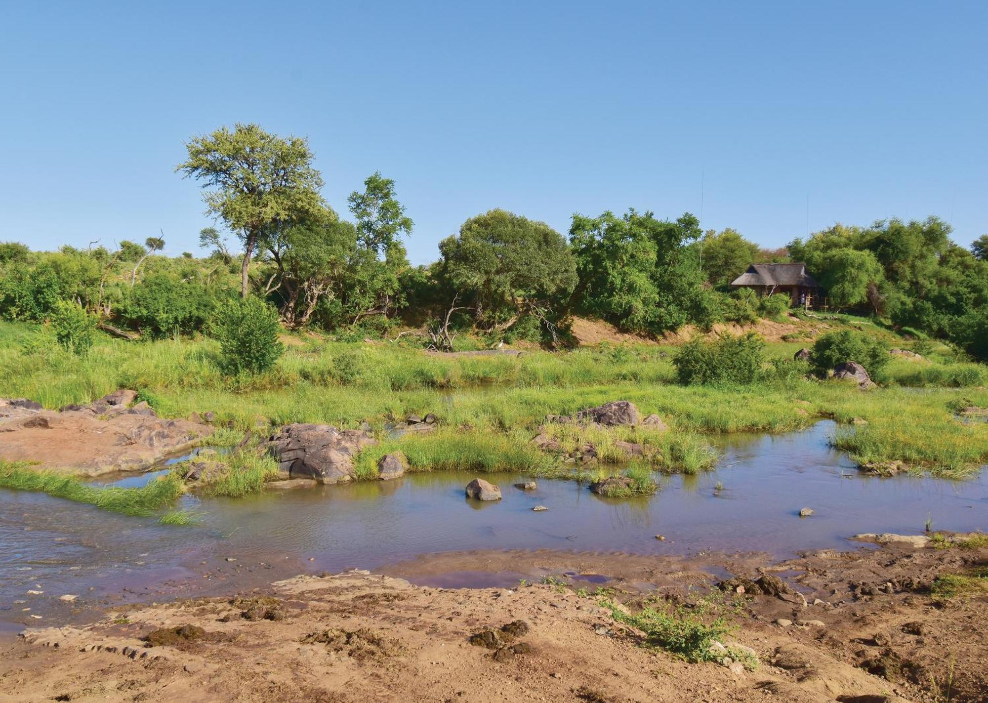 Madikwe River Lodge By Dream Resorts Madikwe Game Reserve Chambre photo