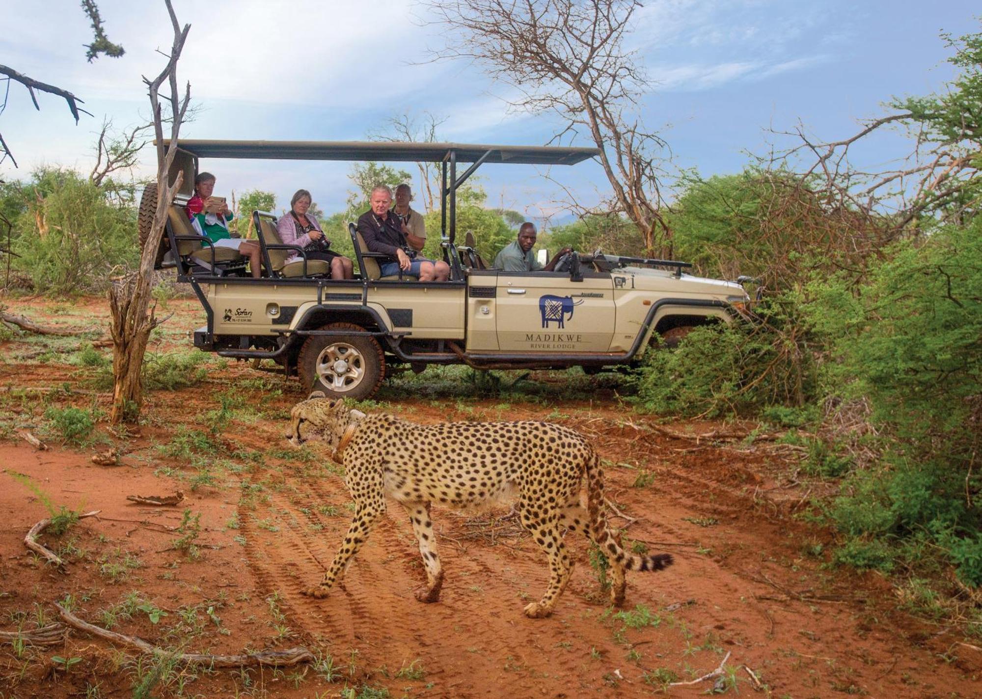 Madikwe River Lodge By Dream Resorts Madikwe Game Reserve Extérieur photo